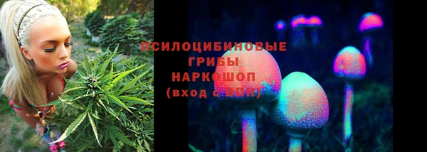 винт Михайлов