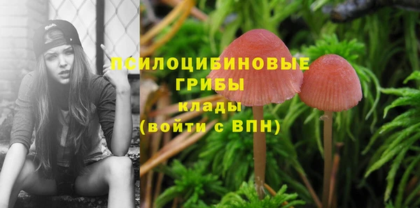 соль ск Михайловск