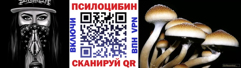 Псилоцибиновые грибы GOLDEN TEACHER  где продают   OMG ТОР  Магнитогорск 