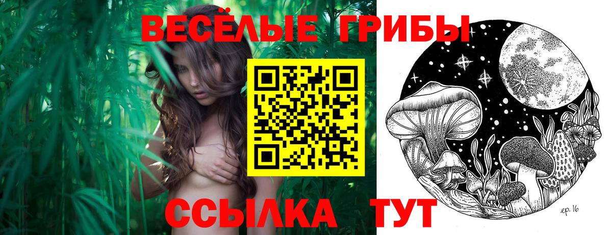 Галлюциногенные грибы ЛСД  Вход с VPN  Магнитогорск  Галлюциногенные грибы Cubensis 